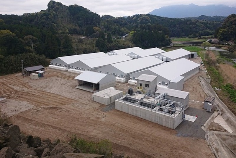 ㈱鹿児島農場新肥育豚舎建設工事の写真